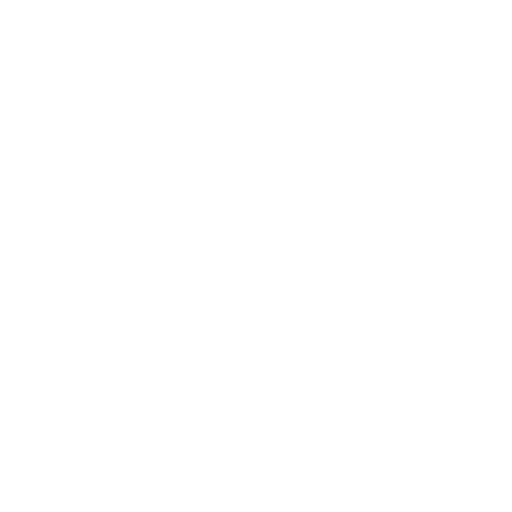 ROI Focused Icon